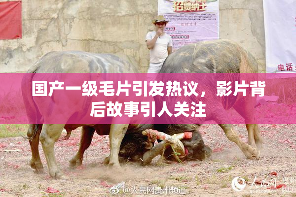 国产一级毛片引发热议，影片背后故事引人关注