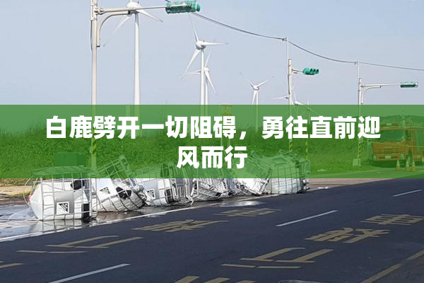 白鹿劈开一切阻碍，勇往直前迎风而行