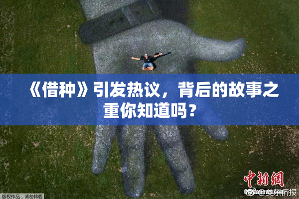 《借种》引发热议，背后的故事之重你知道吗？