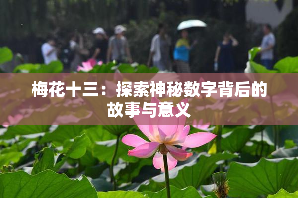 梅花十三：探索神秘数字背后的故事与意义