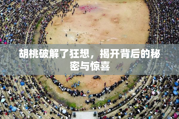 胡桃破解了狂想，揭开背后的秘密与惊喜