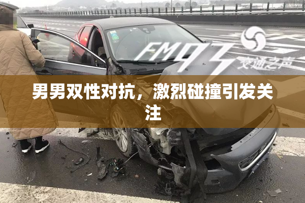 男男双性对抗，激烈碰撞引发关注