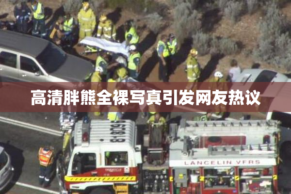 高清胖熊全裸写真引发网友热议