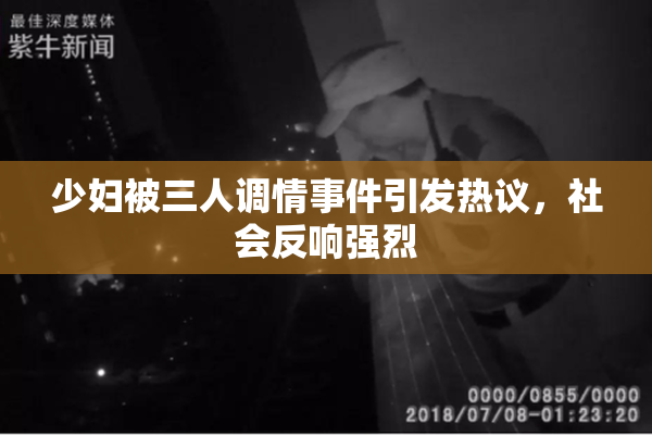 少妇被三人调情事件引发热议，社会反响强烈