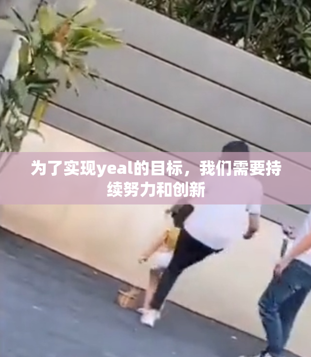 为了实现yeal的目标，我们需要持续努力和创新