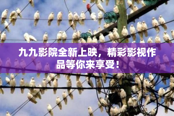 九九影院全新上映，精彩影视作品等你来享受！