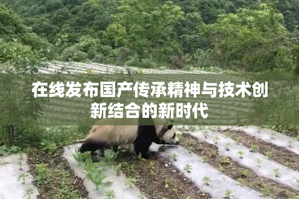在线发布国产传承精神与技术创新结合的新时代