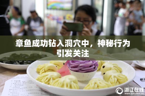 章鱼成功钻入洞穴中，神秘行为引发关注