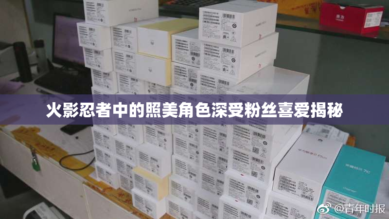 火影忍者中的照美角色深受粉丝喜爱揭秘