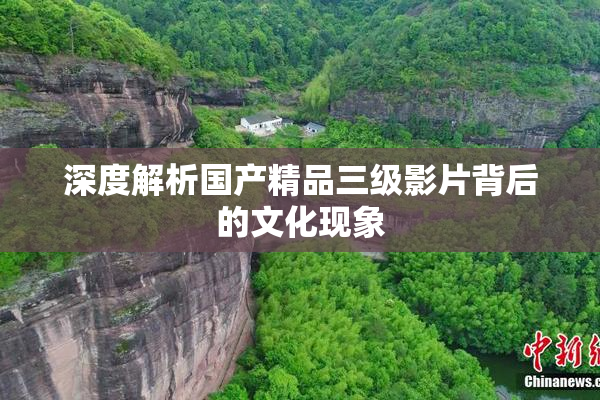深度解析国产精品三级影片背后的文化现象