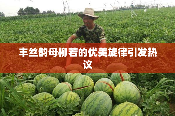 丰丝韵母柳若的优美旋律引发热议
