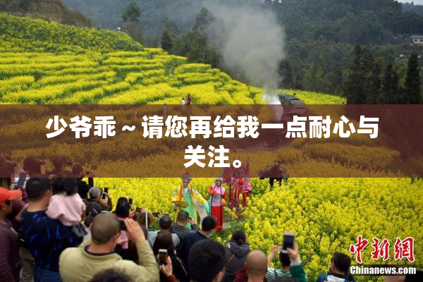 少爷乖～请您再给我一点耐心与关注。