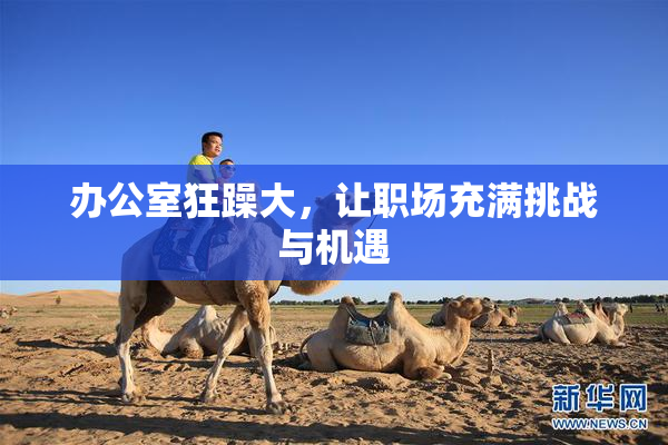 办公室狂躁大，让职场充满挑战与机遇