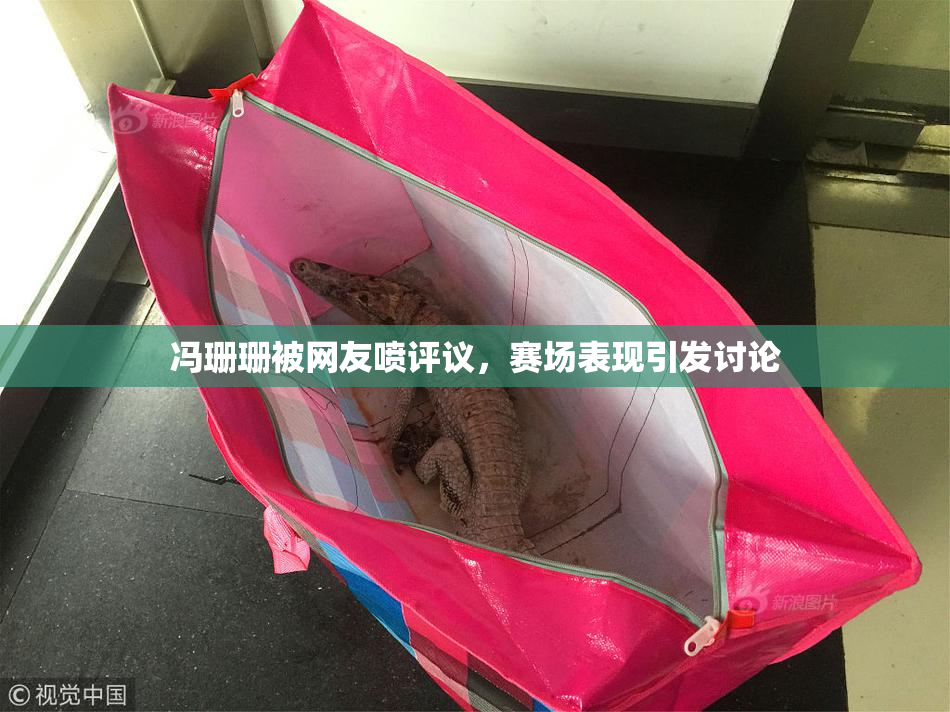 冯珊珊被网友喷评议，赛场表现引发讨论