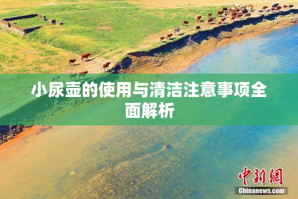 小尿壶的使用与清洁注意事项全面解析