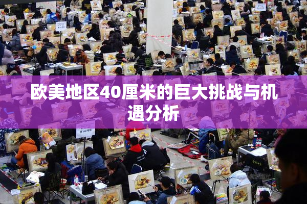 欧美地区40厘米的巨大挑战与机遇分析