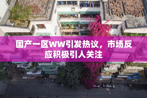 国产一区WW引发热议，市场反应积极引人关注