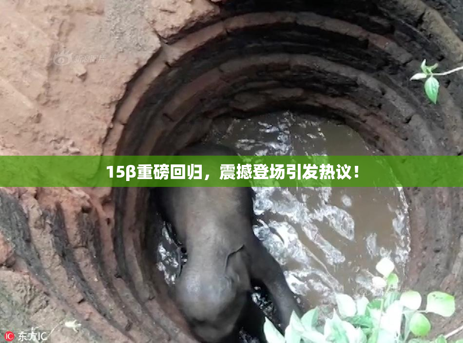 15β重磅回归，震撼登场引发热议！