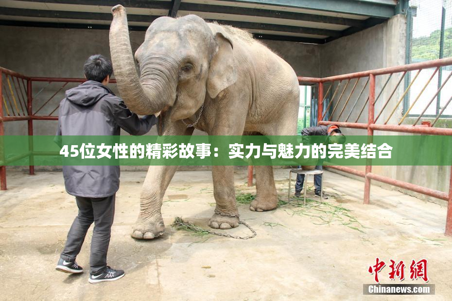 45位女性的精彩故事：实力与魅力的完美结合