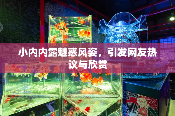 小内内露魅惑风姿，引发网友热议与欣赏