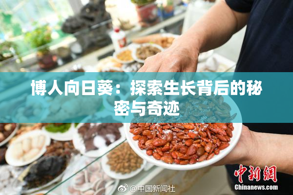 博人向日葵：探索生长背后的秘密与奇迹