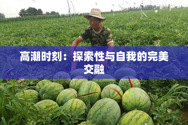 高潮时刻：探索性与自我的完美交融