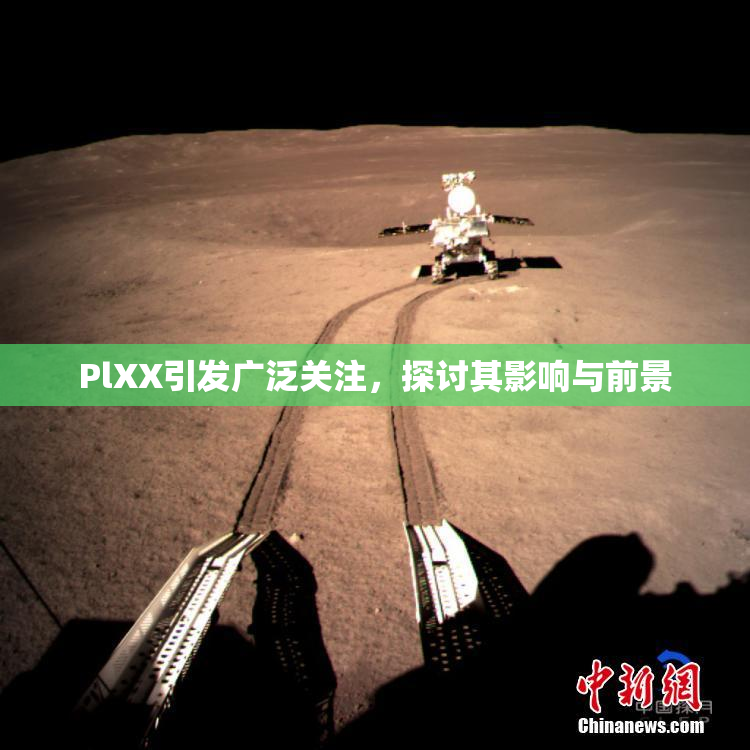 PlXX引发广泛关注，探讨其影响与前景