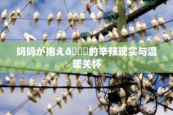 妈妈が抱え🌃的辛辣现实与温暖关怀