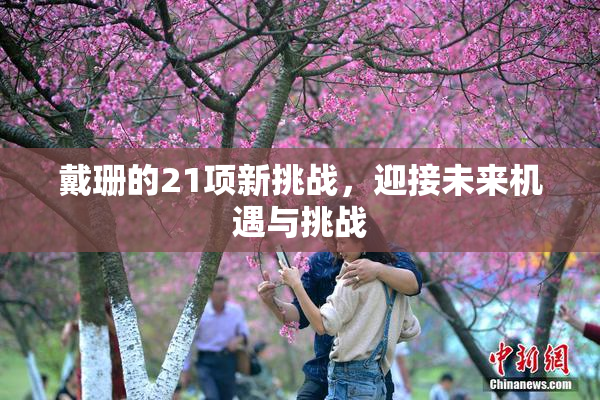 戴珊的21项新挑战，迎接未来机遇与挑战