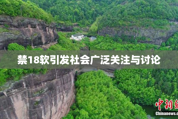 禁18软引发社会广泛关注与讨论