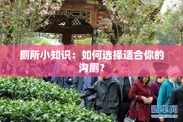厕所小知识：如何选择适合你的沟厕？