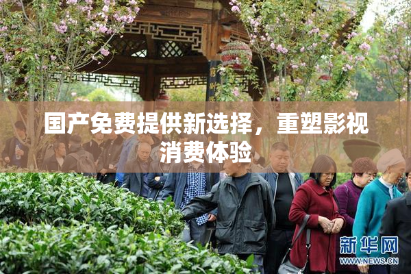 国产免费提供新选择，重塑影视消费体验