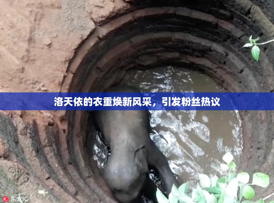洛天依的衣重焕新风采，引发粉丝热议