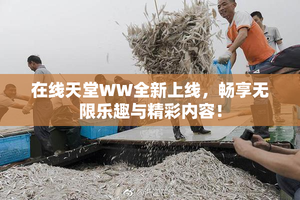 在线天堂WW全新上线，畅享无限乐趣与精彩内容！