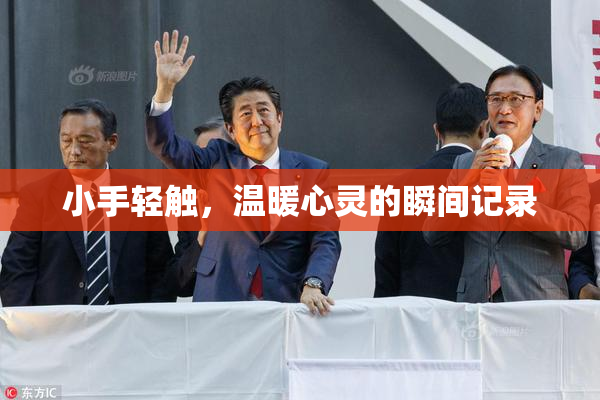小手轻触，温暖心灵的瞬间记录