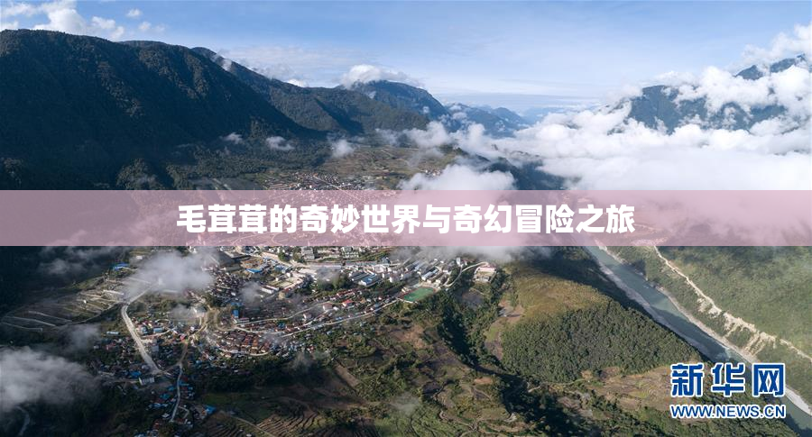 毛茸茸的奇妙世界与奇幻冒险之旅
