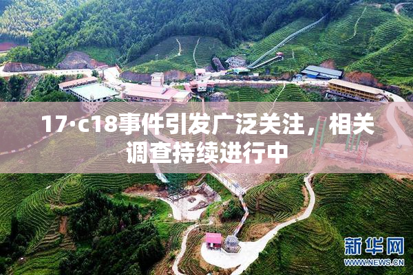 17·c18事件引发广泛关注，相关调查持续进行中