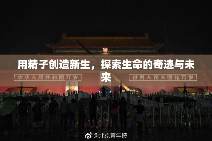 用精子创造新生，探索生命的奇迹与未来