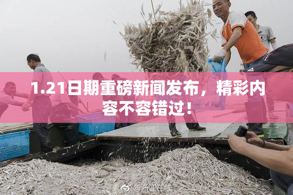 1.21日期重磅新闻发布，精彩内容不容错过！
