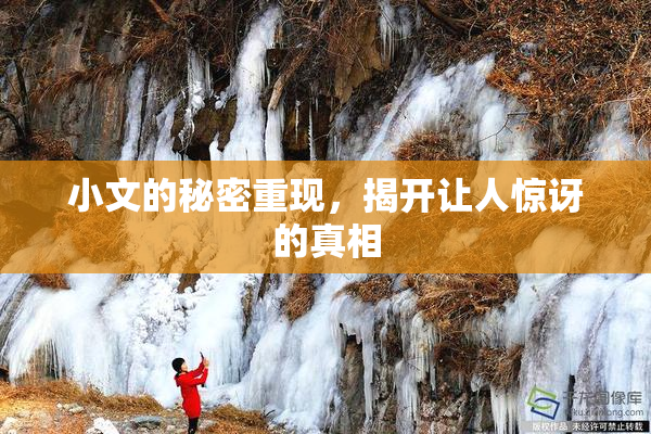 小文的秘密重现，揭开让人惊讶的真相