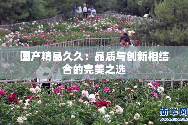 国产精品久久：品质与创新相结合的完美之选