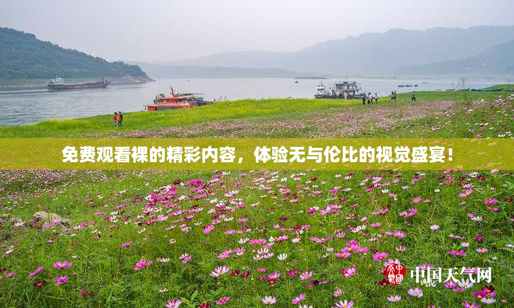免费观看裸的精彩内容，体验无与伦比的视觉盛宴！