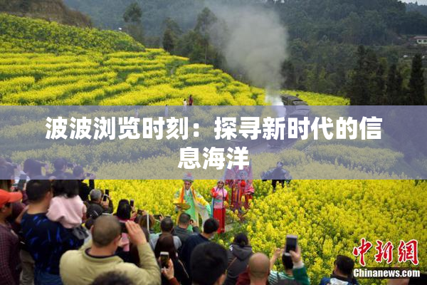 波波浏览时刻：探寻新时代的信息海洋