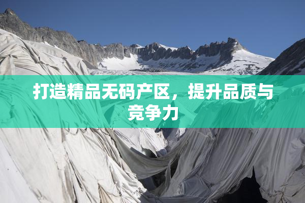 打造精品无码产区，提升品质与竞争力