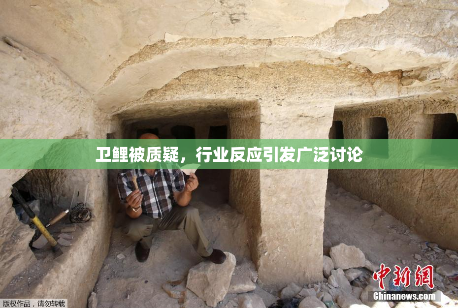 卫鲤被质疑，行业反应引发广泛讨论