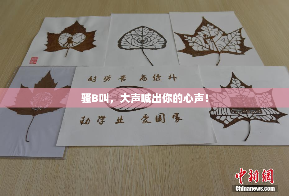 骚B叫，大声喊出你的心声！