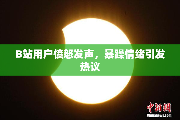 B站用户愤怒发声，暴躁情绪引发热议