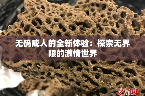 无码成人的全新体验：探索无界限的激情世界