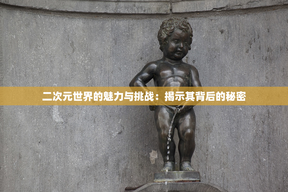 二次元世界的魅力与挑战：揭示其背后的秘密