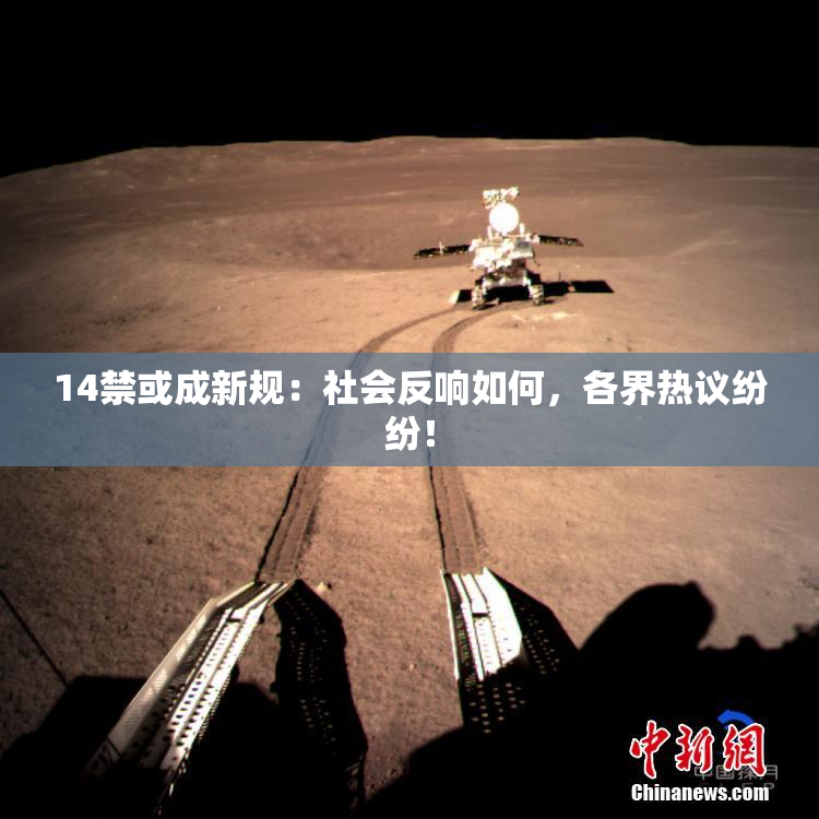 14禁或成新规：社会反响如何，各界热议纷纷！
